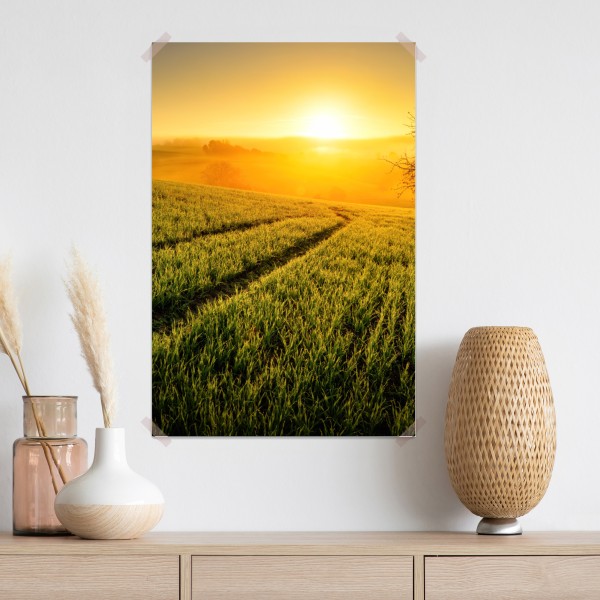 Poster sonnenbeschienene wiese im frühlicht – Wallnifity® Poster sonnenbeschienene wiese im frühlicht – Wallnifity®