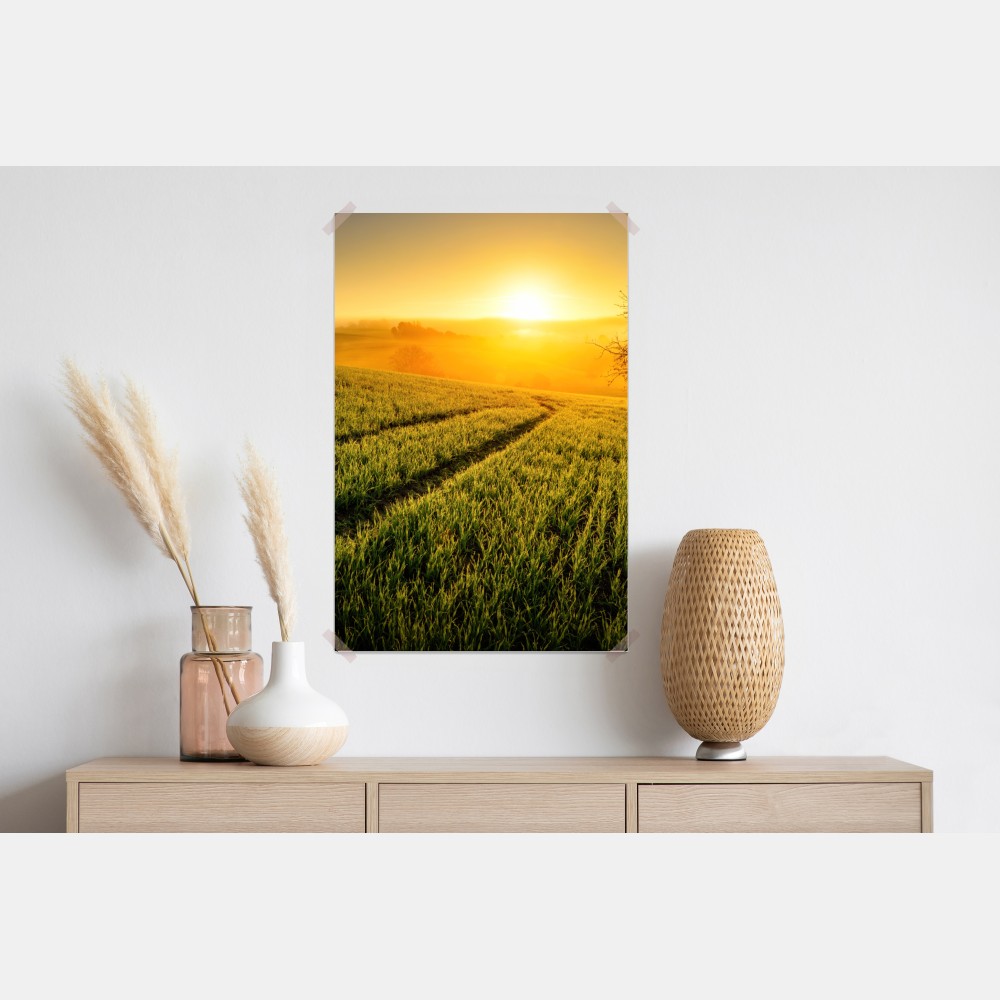 Poster sonnenbeschienene wiese im frühlicht – Wallnifity® Poster sonnenbeschienene wiese im frühlicht – Wallnifity®