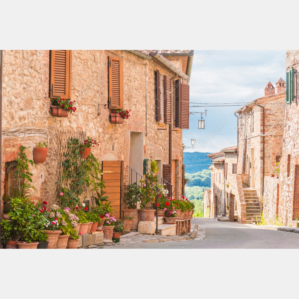 Poster mittelalterliche straße in der Toskana mit blumentöpfen – Wallnifity® Poster mittelalterliche straße in der Toskana mit blumentöpfen – Wallnifity®