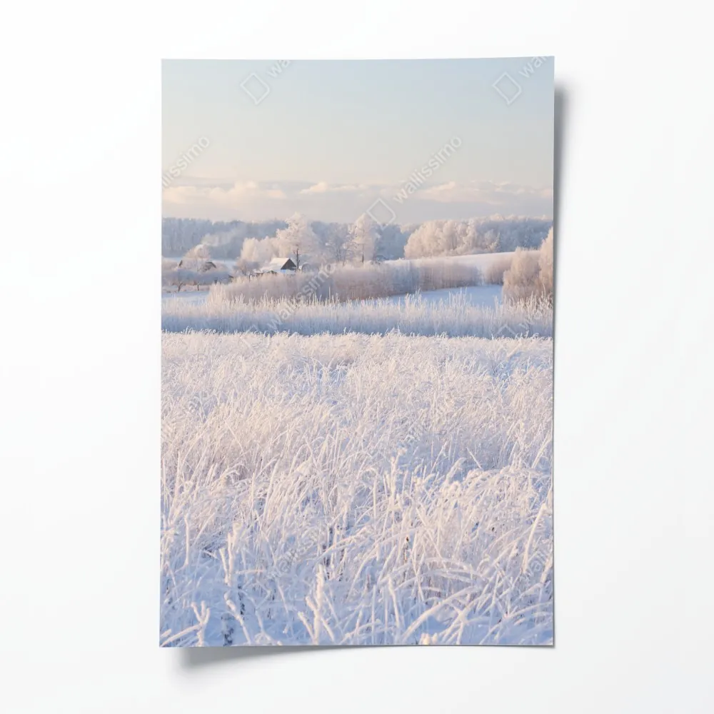 Poster wiese mit reif im morgenlicht – Wallnifity® Poster wiese mit reif im morgenlicht – Wallnifity®