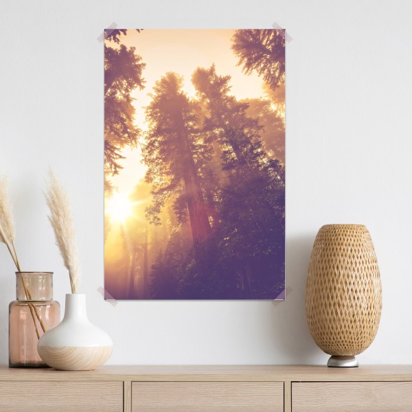 Poster nebeliger mamutbaumwald im goldenen vintagelicht – Wallnifity® Poster nebeliger mamutbaumwald im goldenen vintagelicht – Wallnifity®