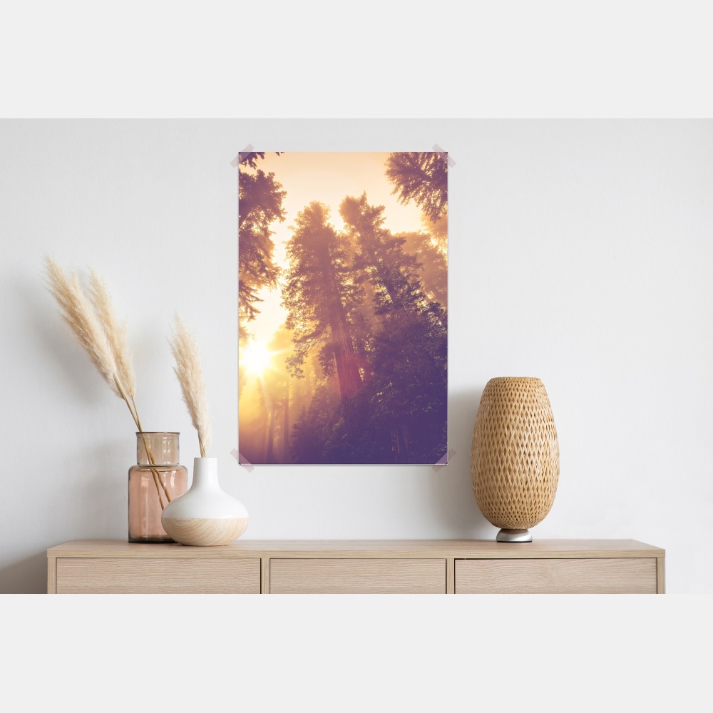 Poster nebeliger mamutbaumwald im goldenen vintagelicht – Wallnifity® Poster nebeliger mamutbaumwald im goldenen vintagelicht – Wallnifity®