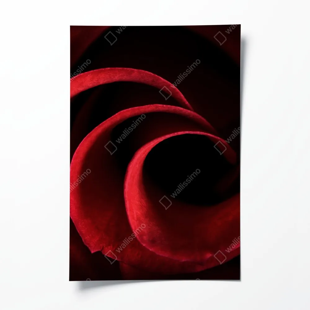 Poster spirale aus tiefroten rosenblättern – Wallnifity® Poster spirale aus tiefroten rosenblättern – Wallnifity®