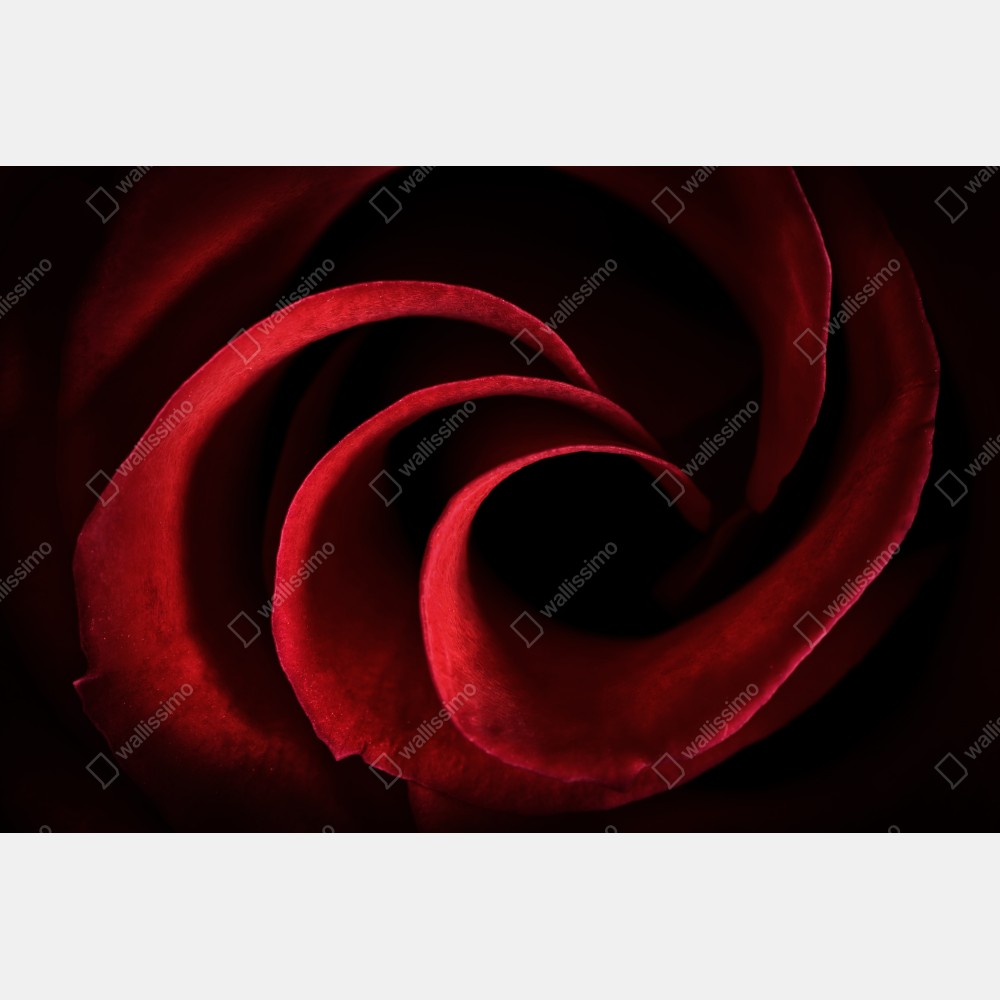Poster spirale aus tiefroten rosenblättern – Wallnifity® Poster spirale aus tiefroten rosenblättern – Wallnifity®