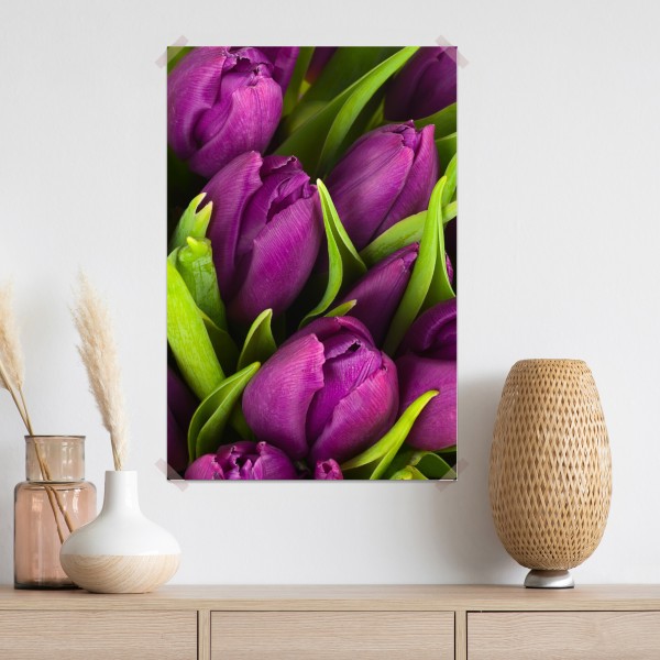 Poster lila tulpen im bukett – Wallnifity® Poster lila tulpen im bukett – Wallnifity®