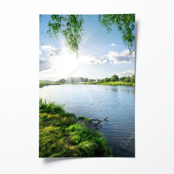 Poster Texas wiese mit bluebonnets im sonnenaufgang – Wallnifity®