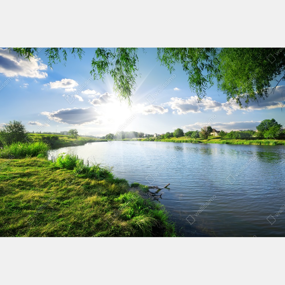 Poster sonnenbeschienenes flussufer mit üppigem grün – Wallnifity® Poster sonnenbeschienenes flussufer mit üppigem grün – Wallnifity®