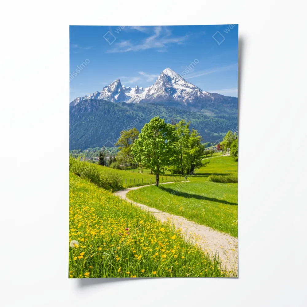 Poster alpine frühlingswiese mit schneebedeckten gipfeln – Wallnifity® Poster alpine frühlingswiese mit schneebedeckten gipfeln – Wallnifity®