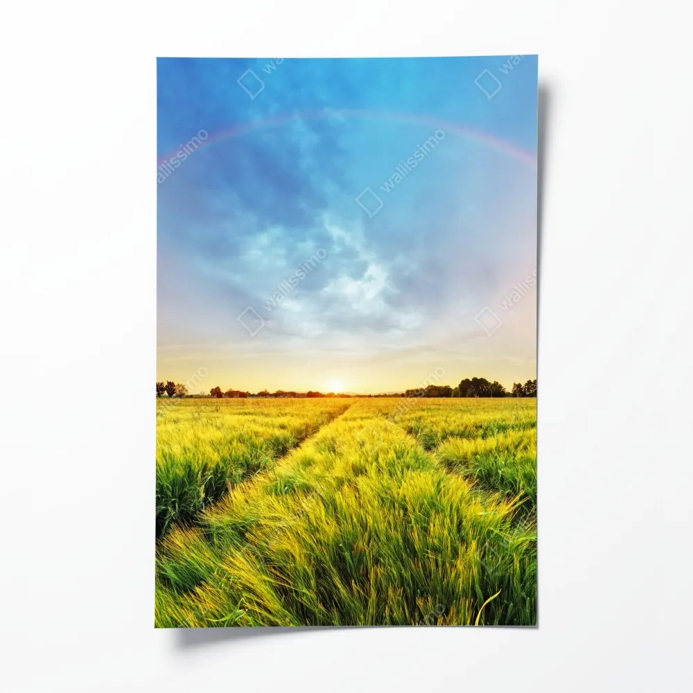 Poster regenbogen über goldenem weizenfeld bei sonnenuntergang – Wallnifity® Poster regenbogen über goldenem weizenfeld bei sonnenuntergang – Wallnifity®