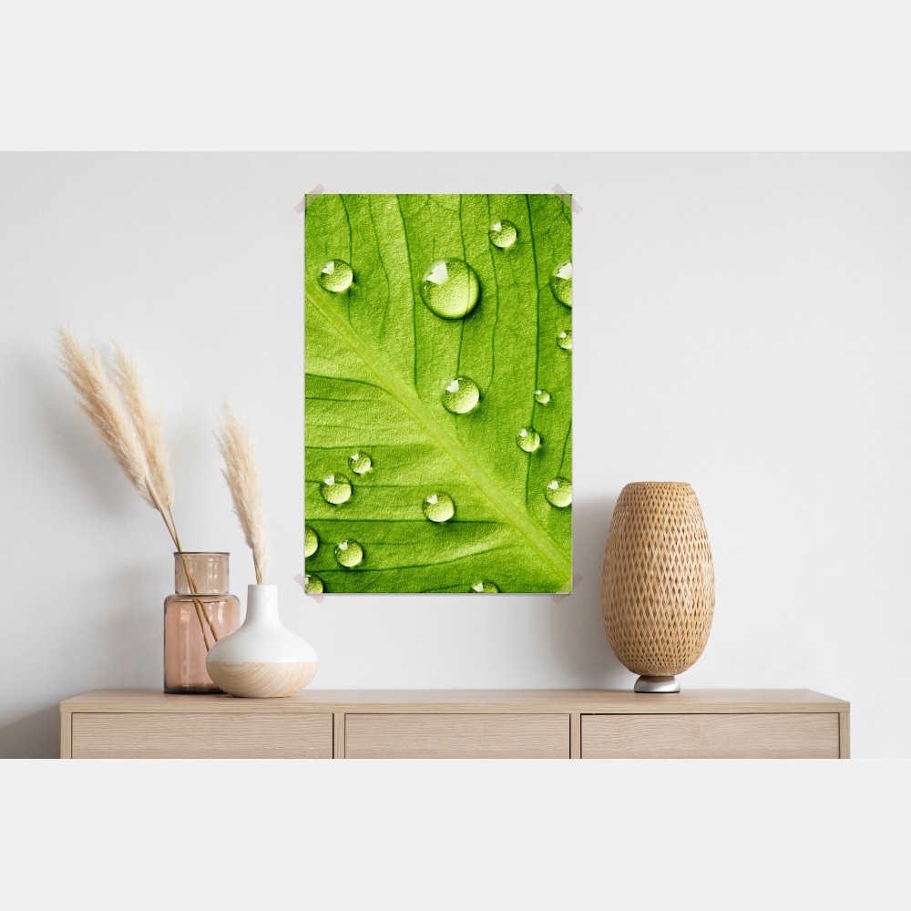 Poster frisches grünes blatt mit wassertropfen – Wallnifity® Poster frisches grünes blatt mit wassertropfen – Wallnifity®
