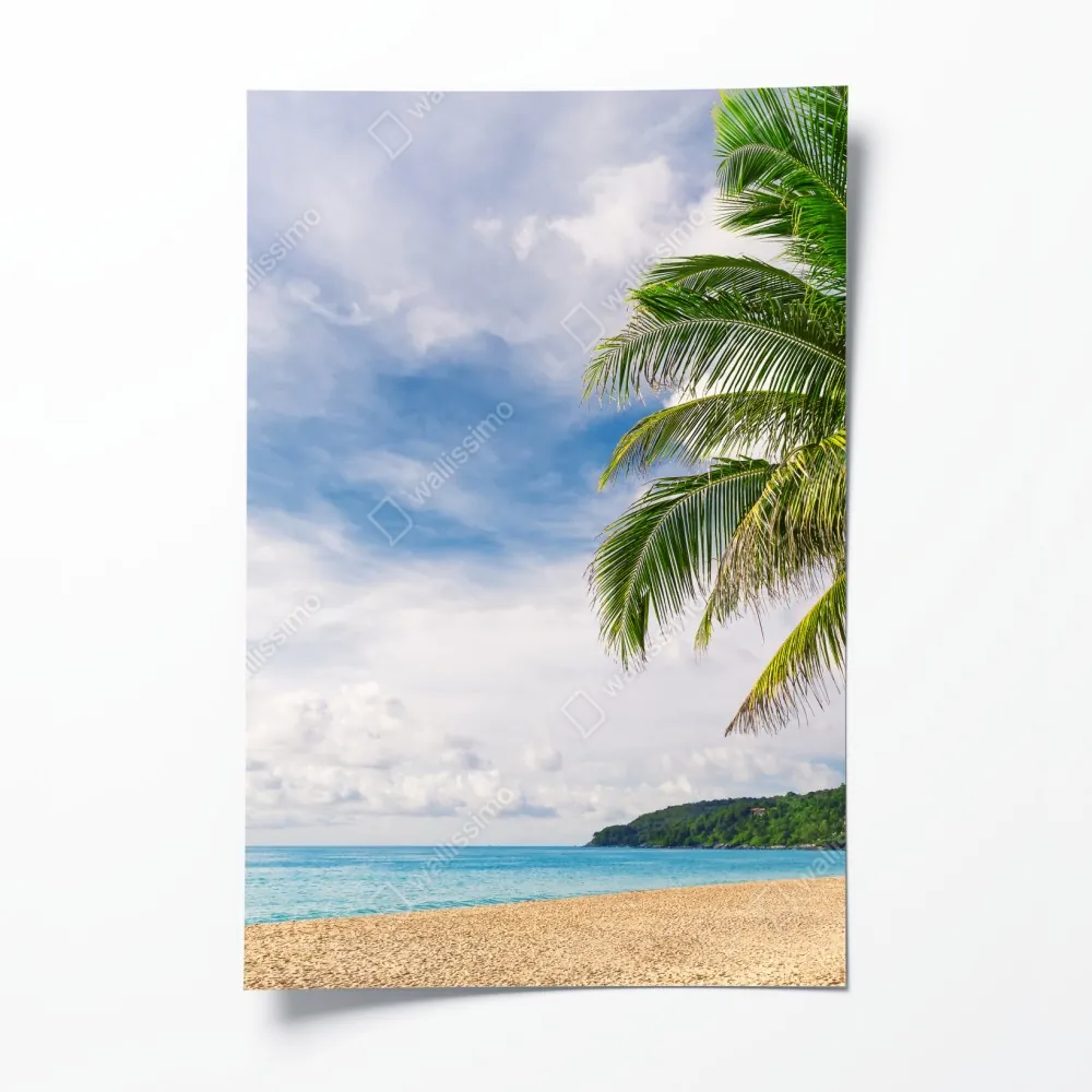 Poster tropischer strand in Phuket mit palme – Wallnifity®