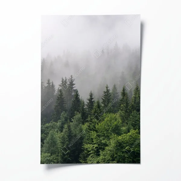 Poster majestätischer herbstlicher sonnenuntergang in den bergen – Wallnifity®