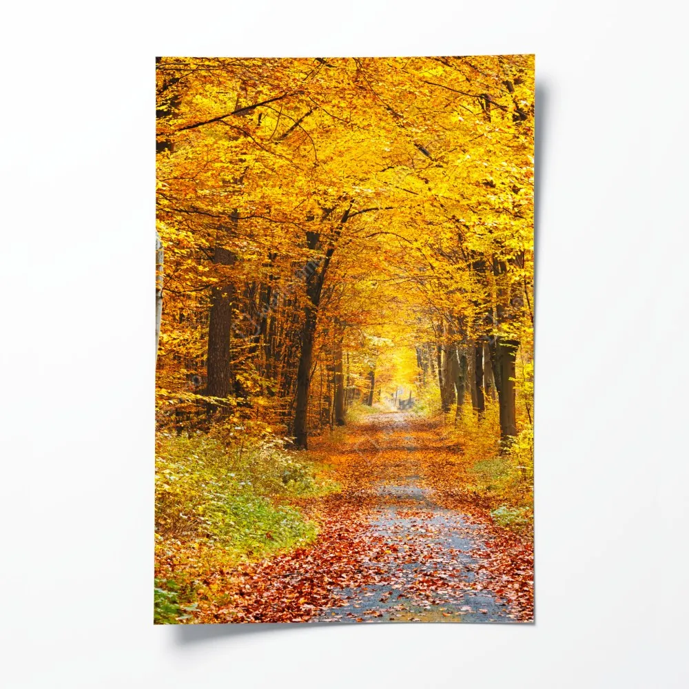 Poster goldener herbstwald pfad – Wallnifity® Poster goldener herbstwald pfad – Wallnifity®