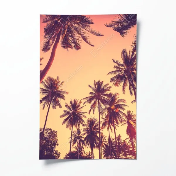 Poster sonnenuntergang mit schwan auf stillem see – Wallnifity®