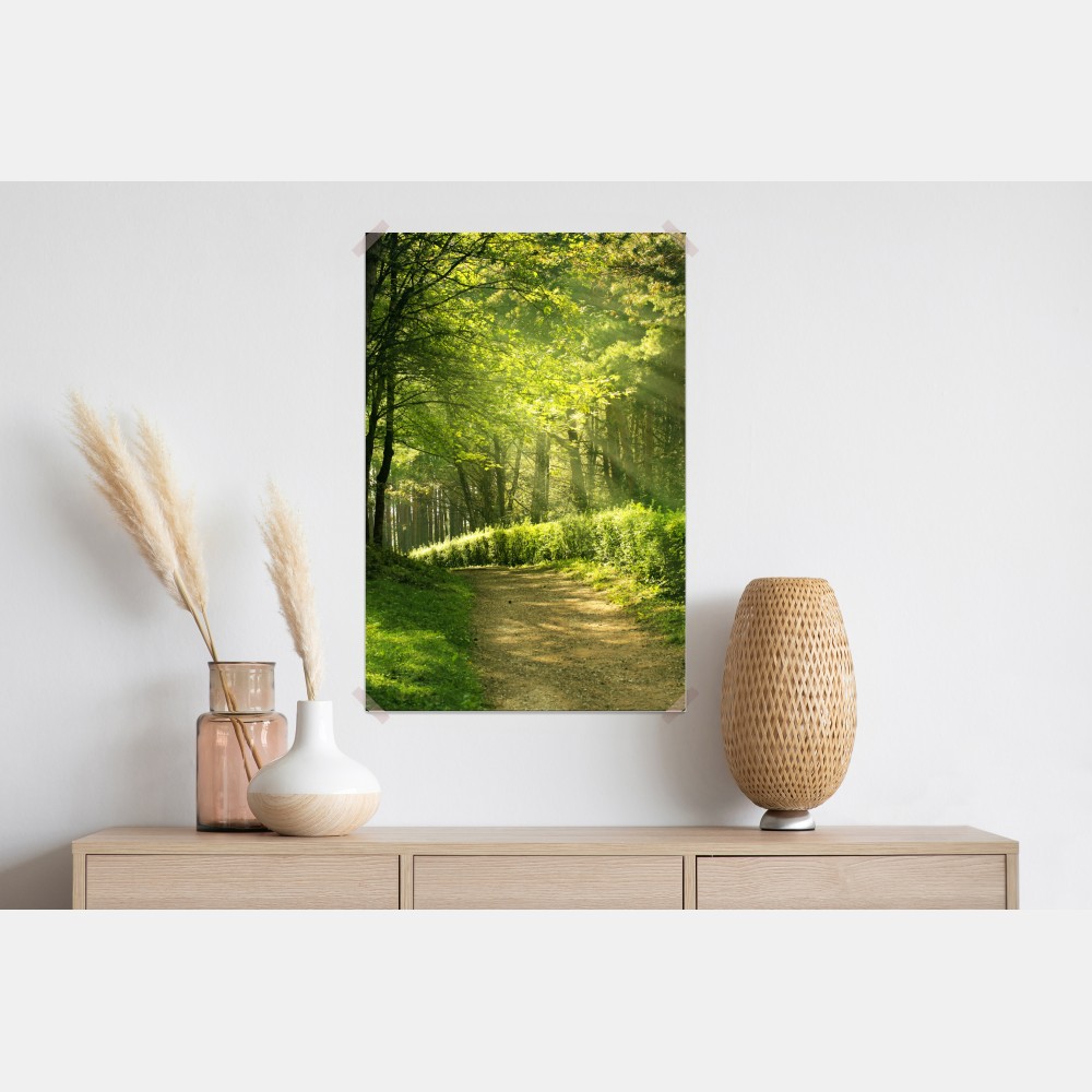 Poster sonnenbeschienener waldpfad im grünen – Wallnifity® Poster sonnenbeschienener waldpfad im grünen – Wallnifity®