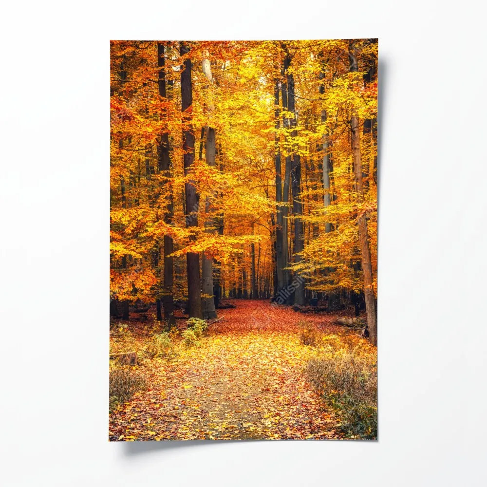 Poster herbstlicher waldpfad mit goldenen blättern – Wallnifity® Poster herbstlicher waldpfad mit goldenen blättern – Wallnifity®