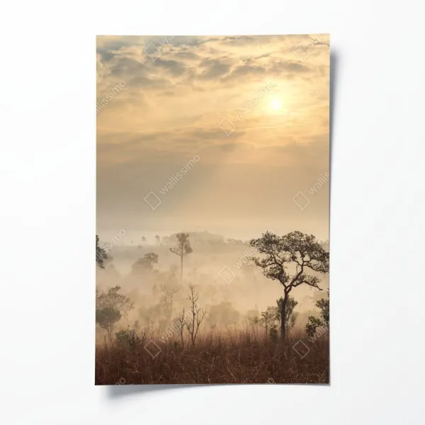 Poster ruhiger fjord bei sonnenuntergang – Wallnifity®