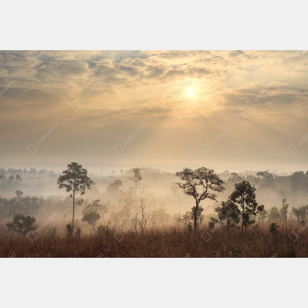 Poster Thailand sawanne bei sonnenaufgang – Wallnifity® Poster Thailand sawanne bei sonnenaufgang – Wallnifity®