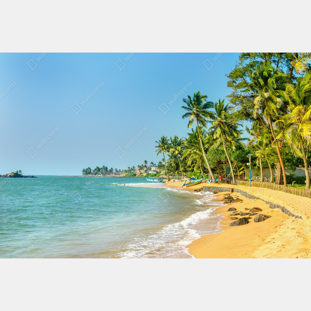 Poster tropischer palmenstrand – Wallnifity® Poster tropischer palmenstrand – Wallnifity®