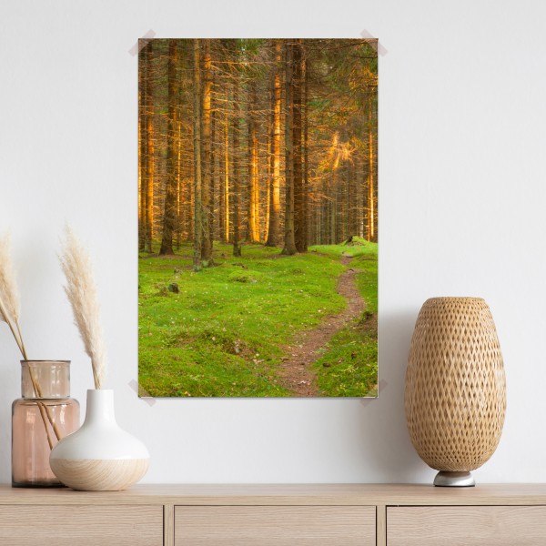 Poster goldenes licht im moosbedeckten kiefernwald – Wallnifity® Poster goldenes licht im moosbedeckten kiefernwald – Wallnifity®