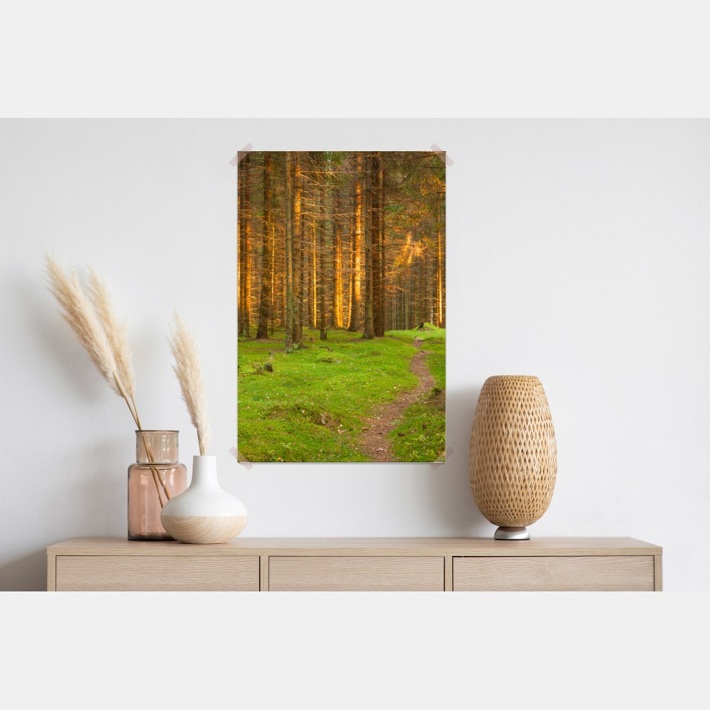 Poster goldenes licht im moosbedeckten kiefernwald – Wallnifity® Poster goldenes licht im moosbedeckten kiefernwald – Wallnifity®