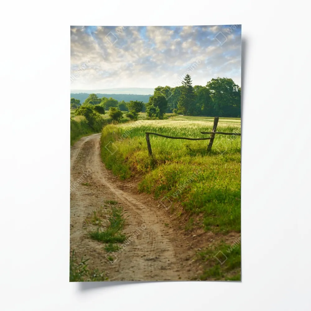 Poster sonniger landweg durch grüne wiesen – Wallnifity® Poster sonniger landweg durch grüne wiesen – Wallnifity®