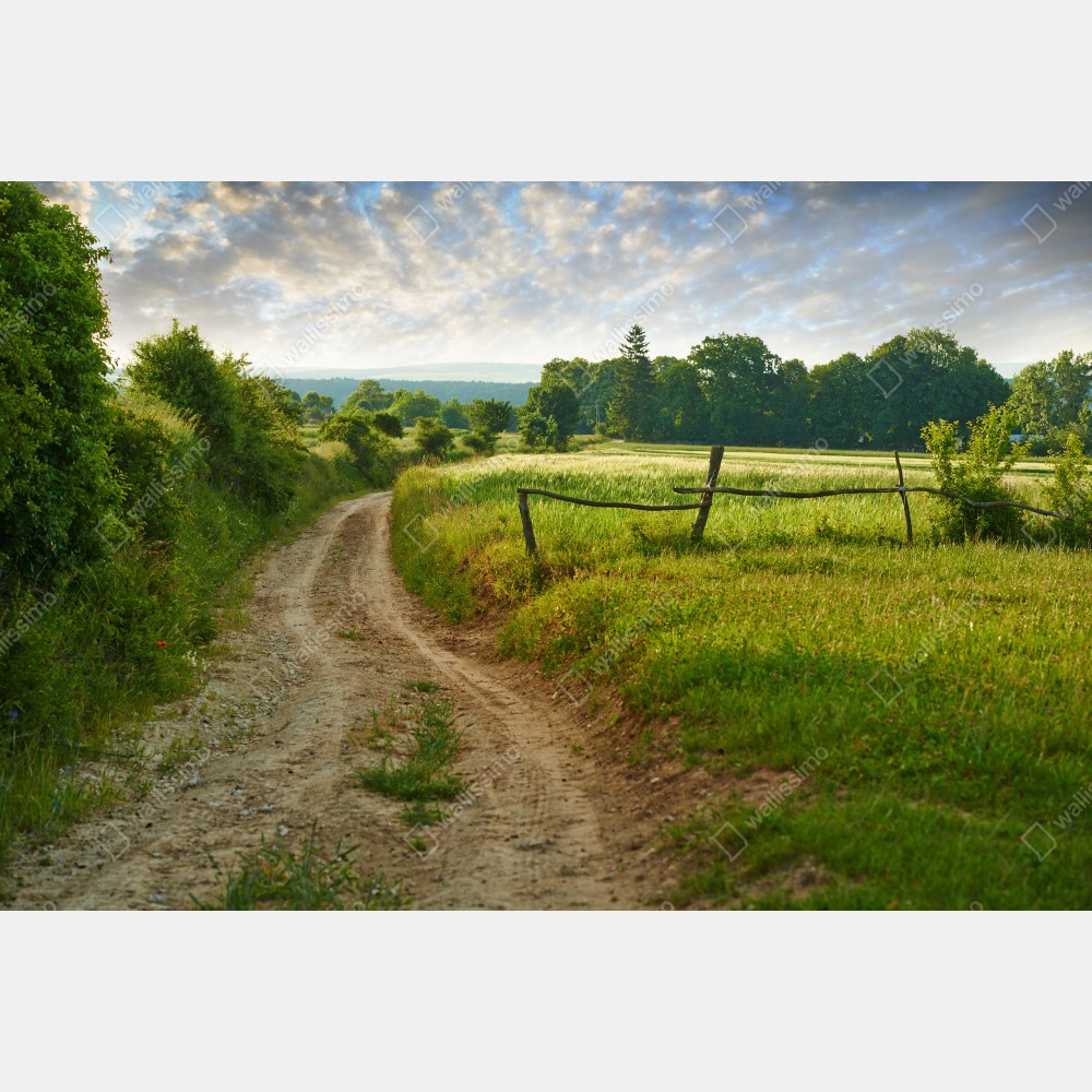 Poster sonniger landweg durch grüne wiesen – Wallnifity® Poster sonniger landweg durch grüne wiesen – Wallnifity®