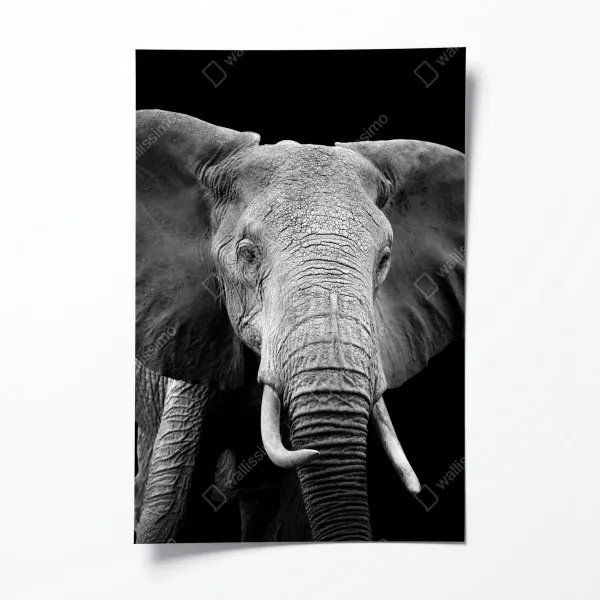 Poster endlose wand aus roten rosen – Wallnifity®