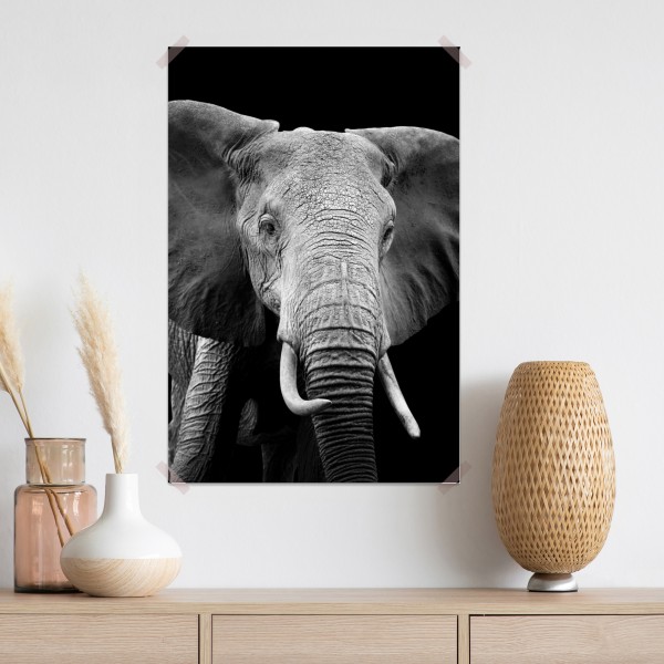 Poster majestätisches elefantenporträt in monochrom – Wallnifity® Poster majestätisches elefantenporträt in monochrom – Wallnifity®