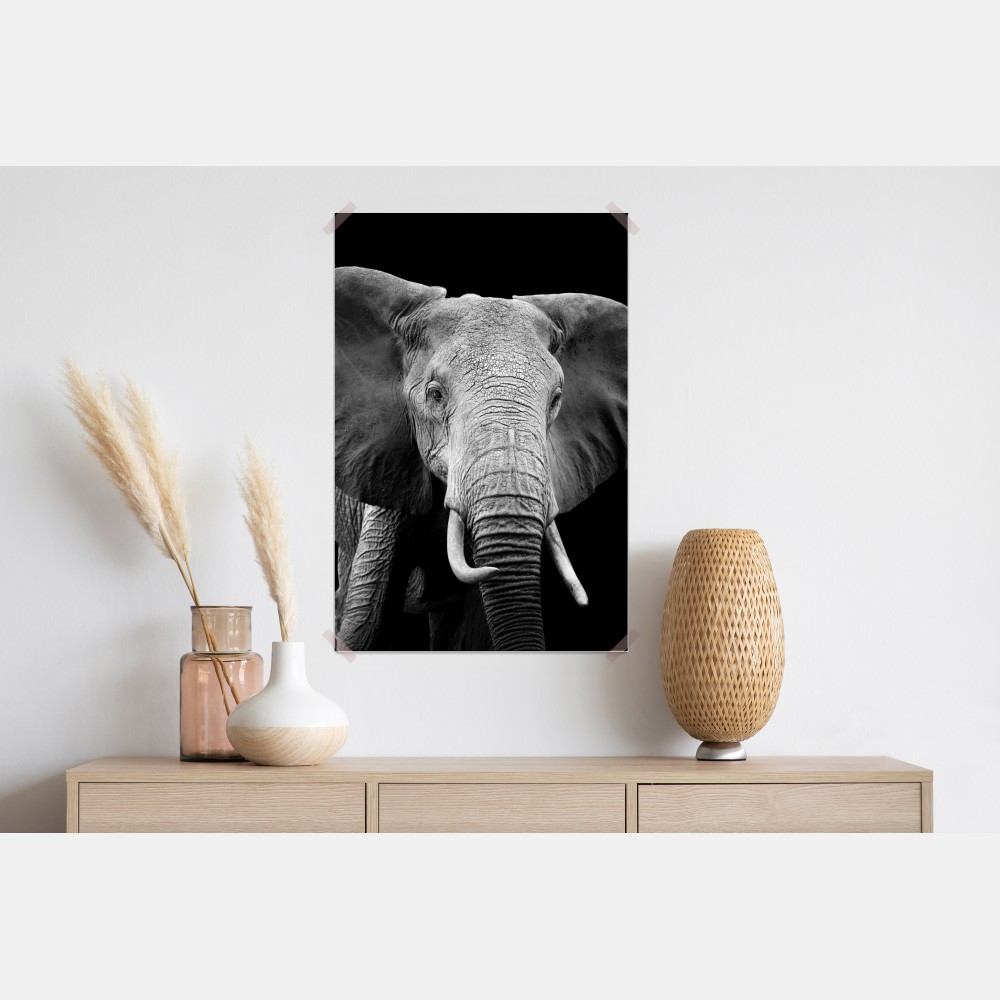 Poster majestätisches elefantenporträt in monochrom – Wallnifity® Poster majestätisches elefantenporträt in monochrom – Wallnifity®