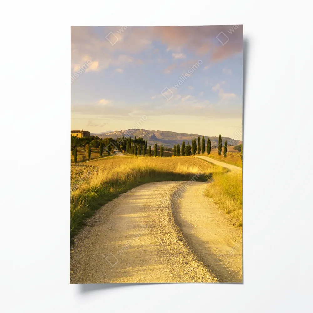 Poster goldene landstraße zwischen zypressen – Wallnifity® Poster goldene landstraße zwischen zypressen – Wallnifity®