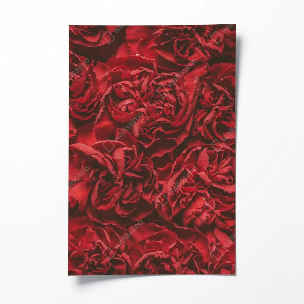 Poster vintage rote nelken blumenmuster – Wallnifity® Poster vintage rote nelken blumenmuster – Wallnifity®