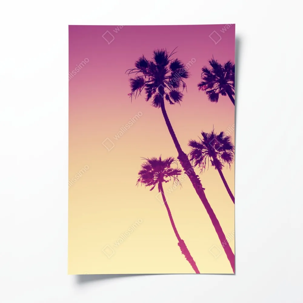 Poster kalifornische palmen bei Sunset Cliffs – Wallnifity® Poster kalifornische palmen bei Sunset Cliffs – Wallnifity®