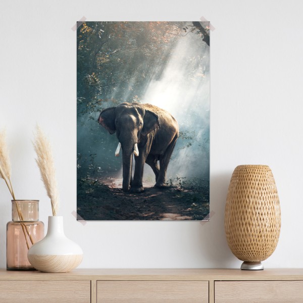 Poster majestätischer elefant im sonnenlichtdurchfluteten wald – Wallnifity® Poster majestätischer elefant im sonnenlichtdurchfluteten wald – Wallnifity®