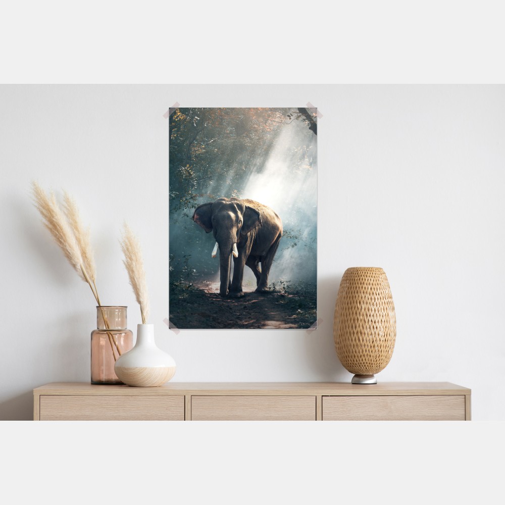 Poster majestätischer elefant im sonnenlichtdurchfluteten wald – Wallnifity® Poster majestätischer elefant im sonnenlichtdurchfluteten wald – Wallnifity®