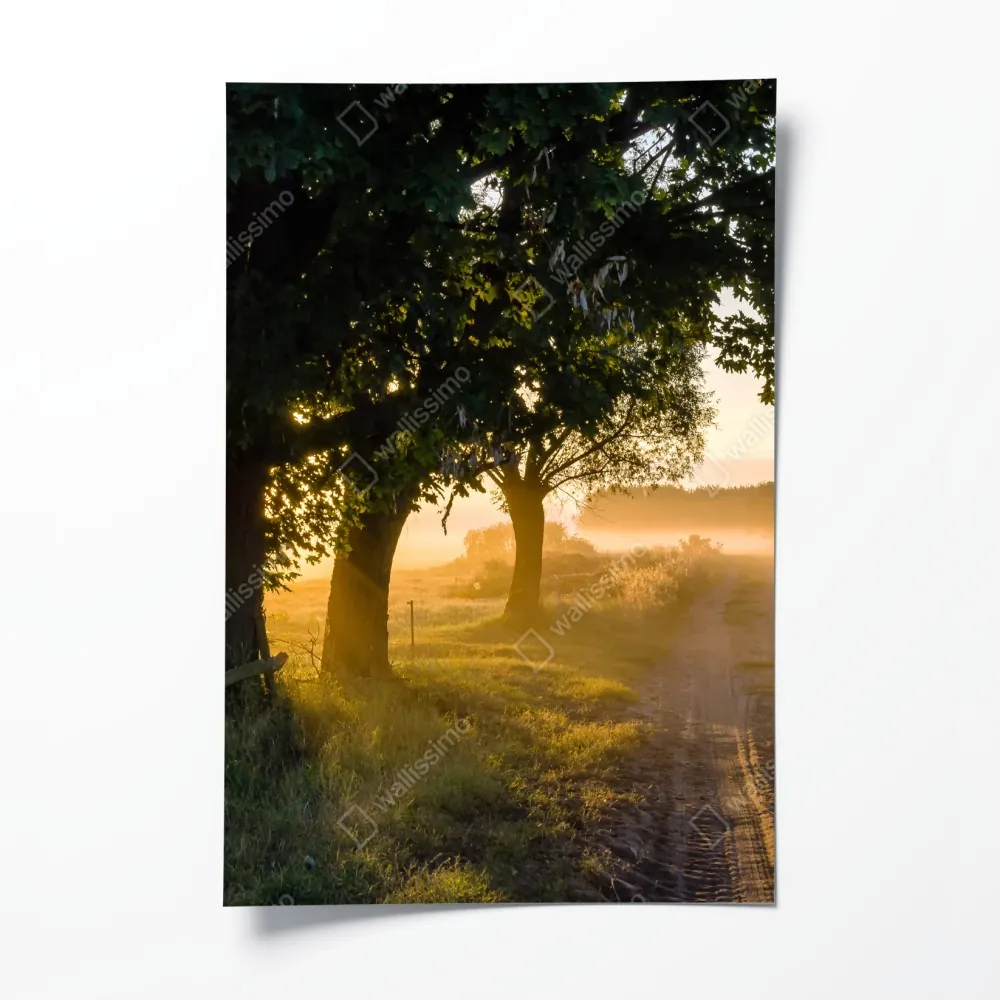 Poster sonnenbeschienener landweg im morgendunst – Wallnifity® Poster sonnenbeschienener landweg im morgendunst – Wallnifity®
