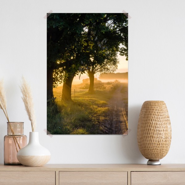 Poster sonnenbeschienener landweg im morgendunst – Wallnifity® Poster sonnenbeschienener landweg im morgendunst – Wallnifity®