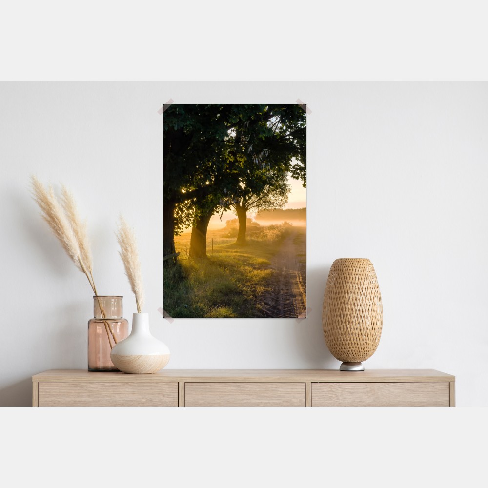 Poster sonnenbeschienener landweg im morgendunst – Wallnifity® Poster sonnenbeschienener landweg im morgendunst – Wallnifity®