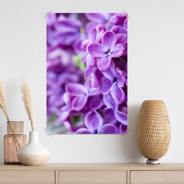 Poster lila fliederblüten nahaufnahme – Wallnifity® Poster lila fliederblüten nahaufnahme – Wallnifity®