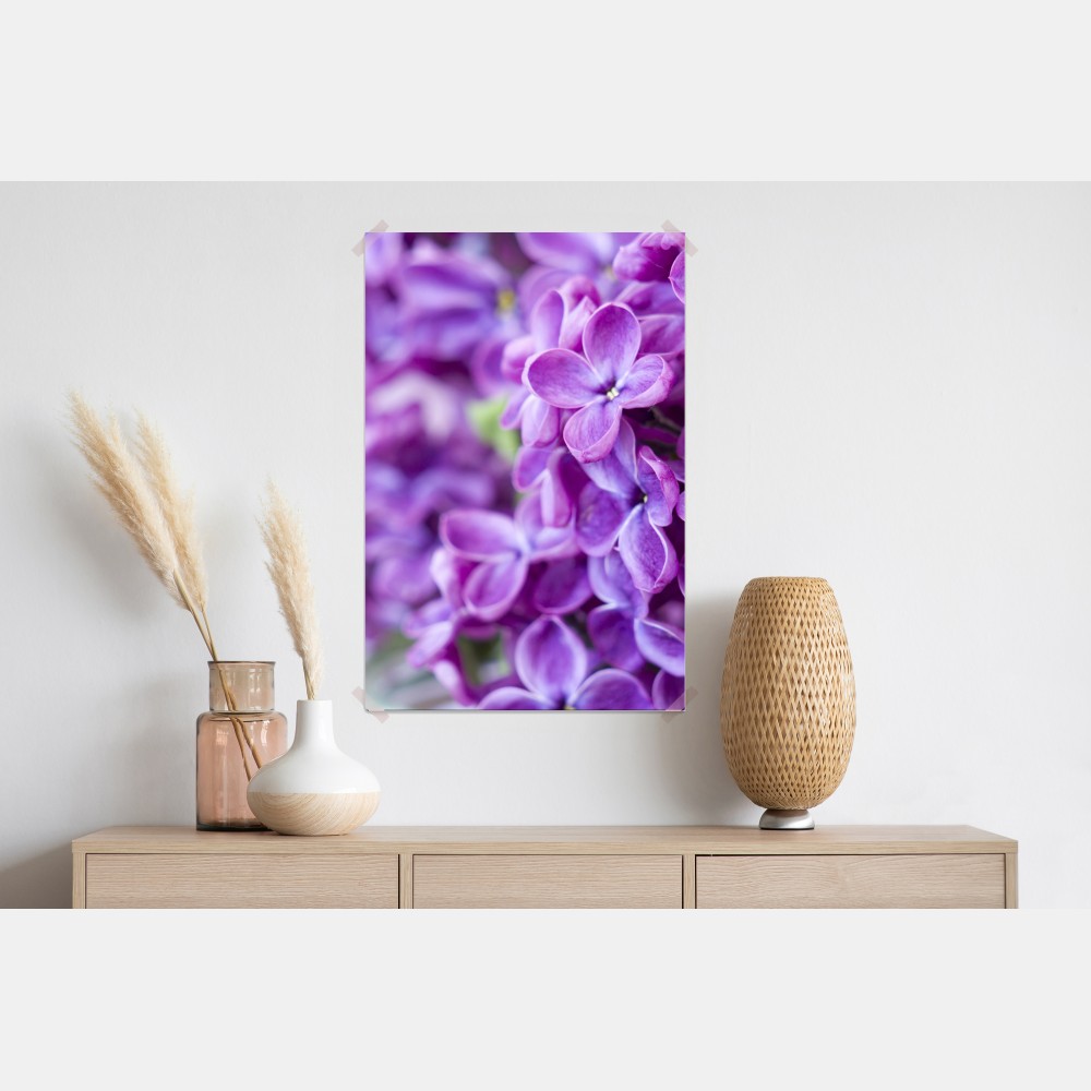 Poster lila fliederblüten nahaufnahme – Wallnifity® Poster lila fliederblüten nahaufnahme – Wallnifity®