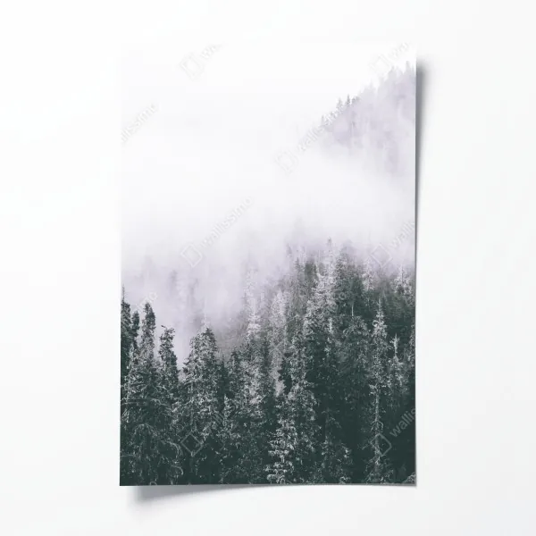 Poster goldener sonnenuntergang über wildgräsern – Wallnifity®