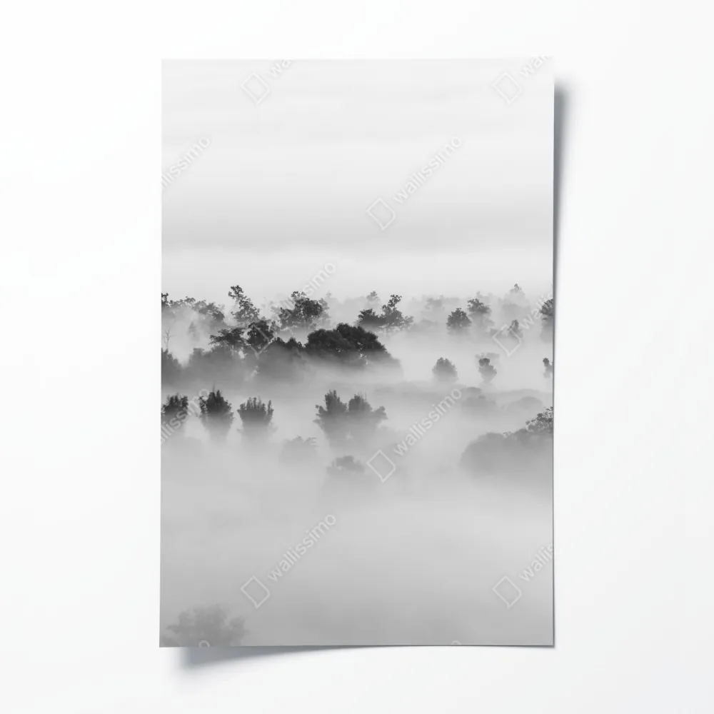 Poster nebliger wald in monochrom – Wallnifity® Poster nebliger wald in monochrom – Wallnifity®