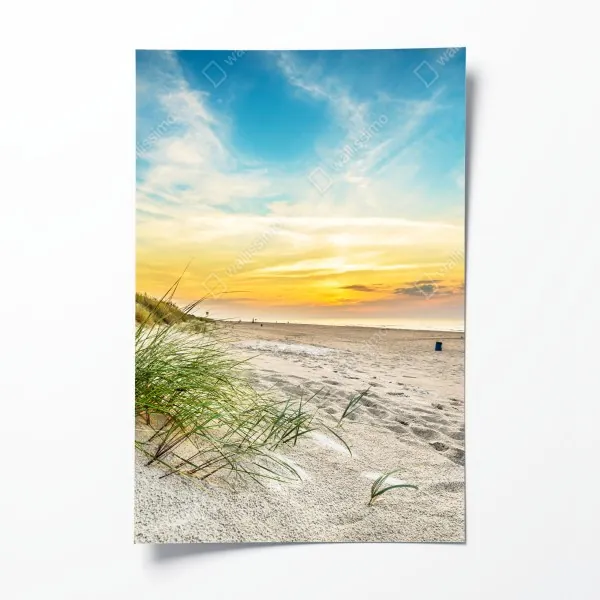 Poster kaktus- und sukkulentenmuster – Wallnifity®