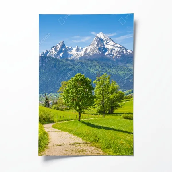 Poster zartes magnolienmuster in sanftem rosa – Wallnifity®