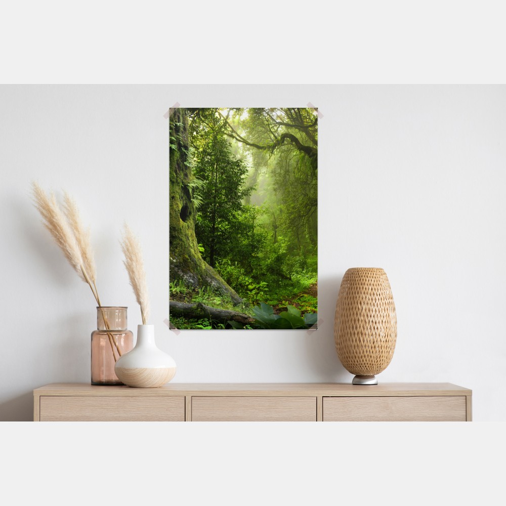 Poster moosiger alter waldpfad – Wallnifity®