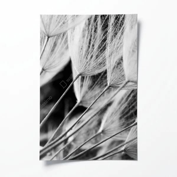 Poster dynamische rote und weiße abstrakte komposition – Wallnifity®