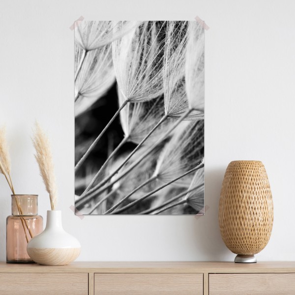 Poster zarte nahaufnahme von löwenzahnsamen in monochrom – Wallnifity® Poster zarte nahaufnahme von löwenzahnsamen in monochrom – Wallnifity®
