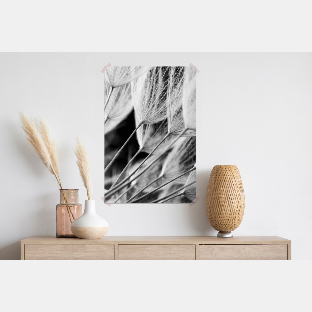 Poster zarte nahaufnahme von löwenzahnsamen in monochrom – Wallnifity® Poster zarte nahaufnahme von löwenzahnsamen in monochrom – Wallnifity®