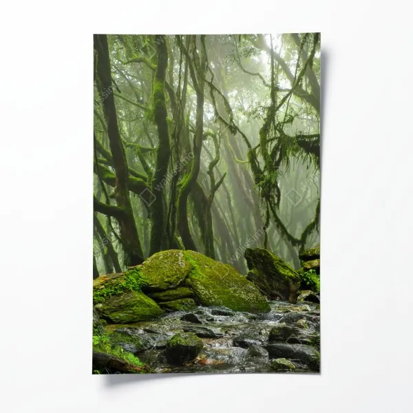 Poster moosiger wald mit bach im nebel – Wallnifity® Poster moosiger wald mit bach im nebel – Wallnifity®