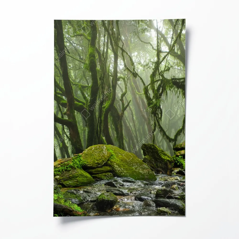 Poster moosiger wald mit bach im nebel – Wallnifity® Poster moosiger wald mit bach im nebel – Wallnifity®